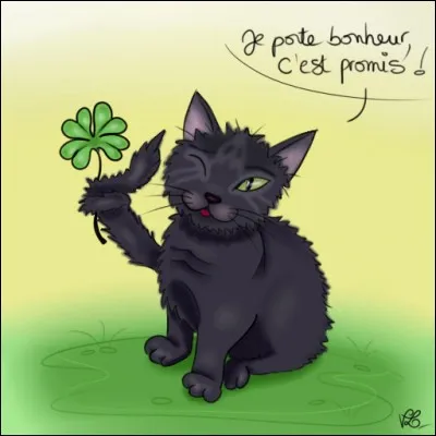 Dans quel pays, les chats noirs portent-ils chance ?