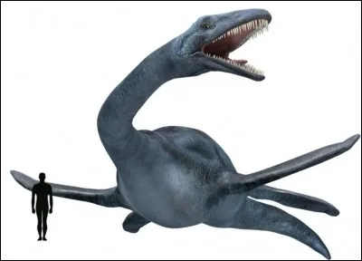 Comment s'appelle ce dinosaure ?