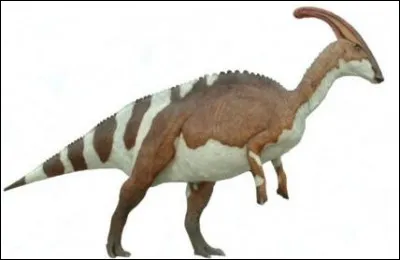 Quelle est la particularité du parasorolophus ?