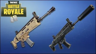 Quelles sont ces armes ?