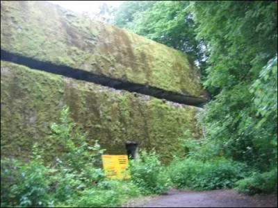 Cet attentat s'est produit dans la 'tanire du loup'un lieu situ en pleine fort, en: