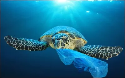 Est-ce vrai qu'un continent de plastique s'est formé au milieu de l'océan Pacifique ?