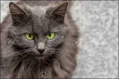 A-t-elle eu un compagnon ?