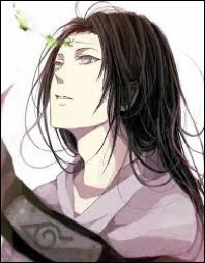 Quel est le nom du village de Konoha ?