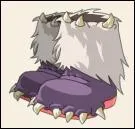 Comment s'appelle ces bottes ?