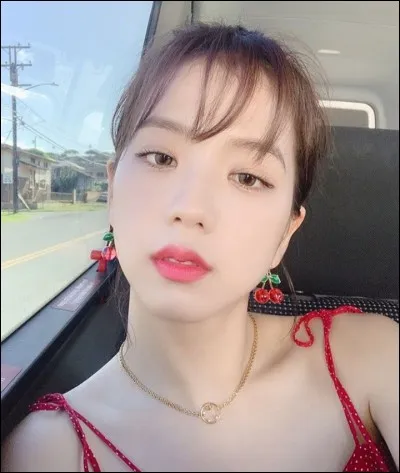 Jisoo est l'égérie de ...