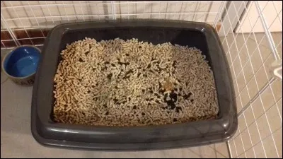 Aurais-tu besoin de quelqu'un pour nettoyer ton environnement ?