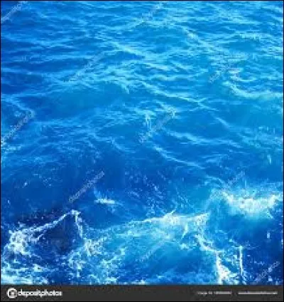 Cette fois-ci, tu vis sous l'eau ! À quel endroit de l'océan ?