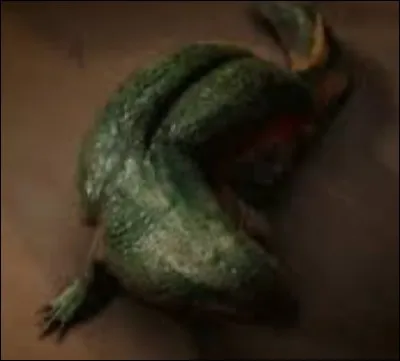 Que fais-tu si tu trouves cette créature dans ton jardin ?