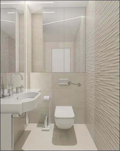 À gauche de la pièce de la question précédente, se trouvent les toilettes. D'après-vous, à quoi servent les deux choses indiquées par la flèche ?