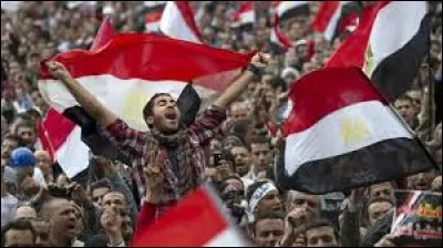 Plus de 1000 arrestations (manifestants, journalistes et militants politiques) après les manifestations de septembre 2019 en Égypte ! 
Comment appelle-t-on ces protestations ?