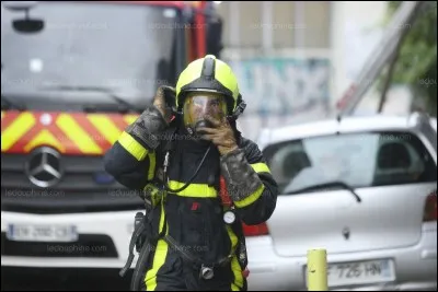 Quel est le rôle du S.D.I.S.?