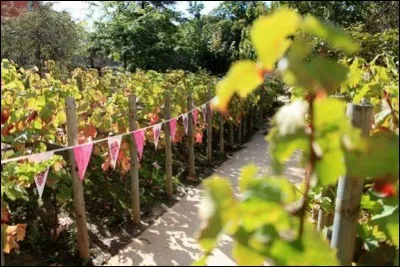 Nous les referons ensemble, nous les referons ensemble, demain ...