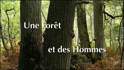 Parmi ces deux départements, lequel est le moins boisé ?