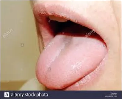 Quelle est sa vitesse d'&eacute;locution ?