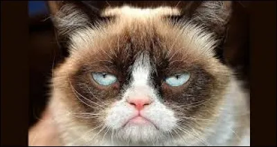 Quel est son passe-temps favori ?