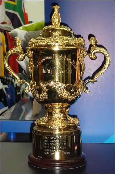 Le plus grand troupeau du monde mesurait 24 km x 160 km et comportait environ 10 millions de têtes. C'étaient des...