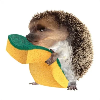 Quelle entreprise spécialisée dans la fabrication d'éponges cellulosiques utilise un hérisson dans ses publicités ?