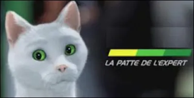 Quelle entreprise spécialisée dans l'entretien et la vente d'accessoires automobiles utilise le chat aux yeux verts Ramsès dans ses publicités ?