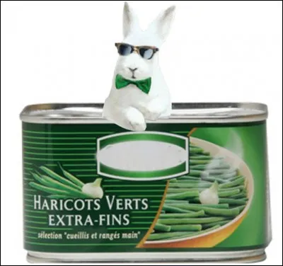 Quelle entreprise de conserverie utilise un lapin blanc dans ses publicités ?