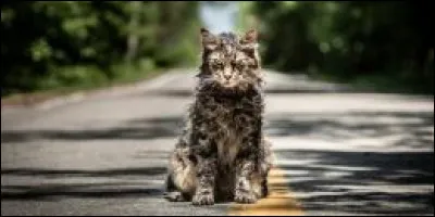 L'auteur s'inspira de la mort subite de son chat pour écrire quel roman célèbre ?