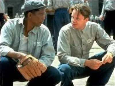Quel est ce film, inspiré d'une nouvelle de Stephen King, avec en vedette Tim Robbins et Morgan Freeman ?