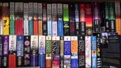 Si vous possédez un exemplaire de ce roman gardez le bien car il n'est plus édité depuis plus de 20 ans :