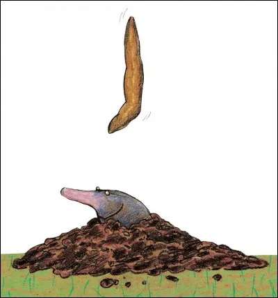 Qui avait fait une crotte sur la tête de la petite taupe ?