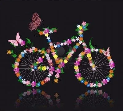 De quelle couleur était la bicyclette de Régine Deforges ?