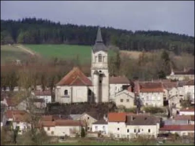 Commune du Grand-Est, Laferté-sur-Aube se situe dans le département ...