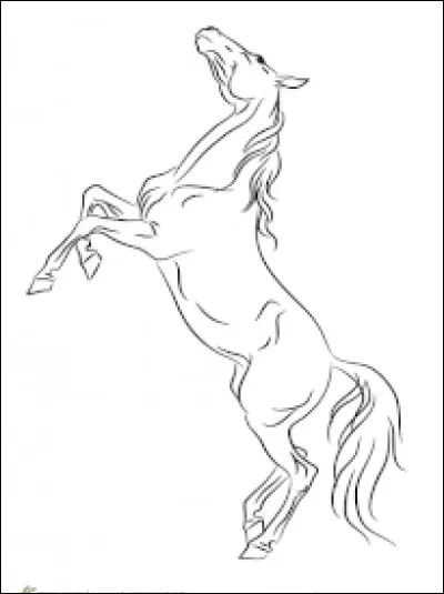 Quelle est l'allure la plus rapide du cheval ?