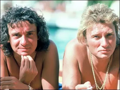 Hallyday (Le Phénix) est un titre méconnu de Michel Sardou. Comment s'appelle le Phénix dans ''Harry Potter'' ?