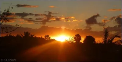 Vous êtes à l'aube de trouver le verbe, alors il est l'heure de vous réveiller !