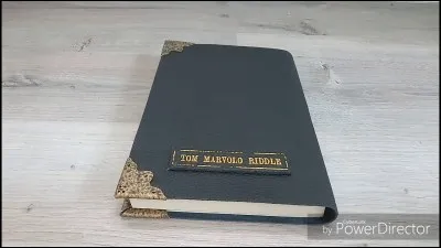 Qui est envoûté par le journal de Tom Jedusor ?