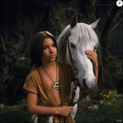 C'est un livre racontant l'histoire d'un petit garçon découvrant le monde magique de Fantasia grâce à un livre trouvé dans une librairie. Quel est ce roman ?