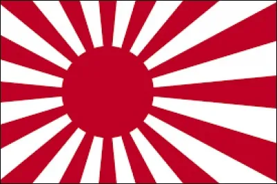 Quel pays possédait ce drapeau avant l'actuel ?