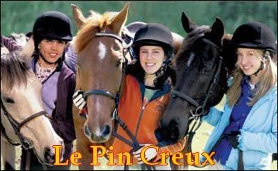 Qui sont ces chevaux ?