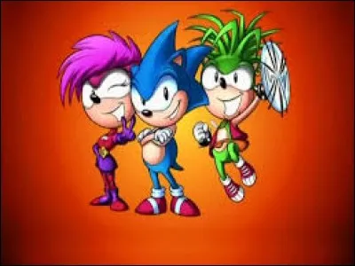 Durant quelle décennie est apparue le dessin animé "Sonic le Rebelle" ?