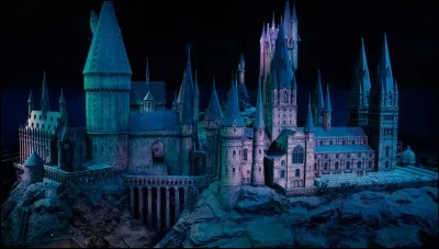 Qui est le directeur de Poudlard dans "Harry Potter à l'école des sorciers" ?