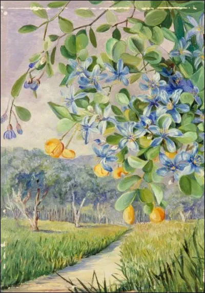 À qui appartient l'album "Les Chemins de traverse" ?