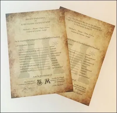 Quelle est la pire note qu'on pourrait avoir au B.U.S.E et au A.S.P.I.C ?