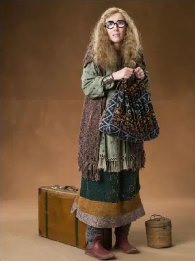 Apr&egrave;s le renvoi du professeur Trelawney, qui est devenu le nouveau prof de divination ?