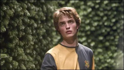 Qui a tu&eacute; Cedric Diggory ?