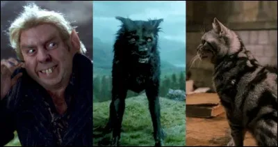 Parmi ces personnages, qui est un animagus ?