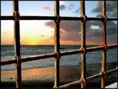 Qui a écrit la chanson "Diego, libre dans sa tête" ?