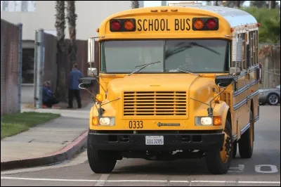 Après un petit déjeuner rapidement avalé, je monte dans le car et comme toujours, c'est au fond de celui-ci et toute seule que je me rends au bahut. Dans quel pays ce bus est-il présent normalement ?