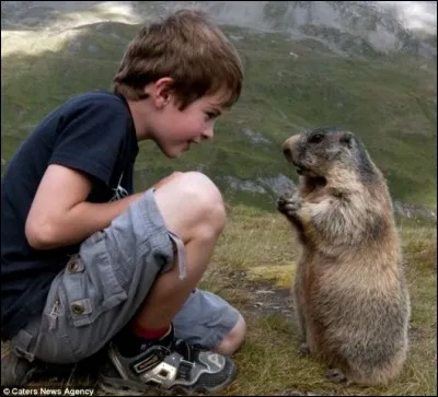 Le petit garçon est réel, mais la marmotte ...
