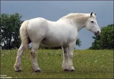 Tu visites une ferme.