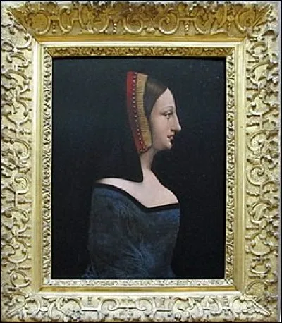 Cocu par les soins du roi de France, le mari attrapa volontairement la syphilis afin de la refiler à sa femme pour qu'elle en fasse don à François 1er. Cette belle dame était...