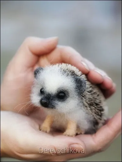 Tenez le à rebrousse-poil !